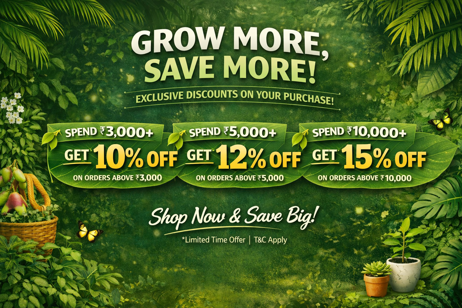 Offer Banner