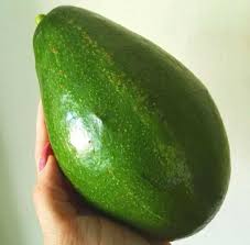 Avocado Pollock Grafted