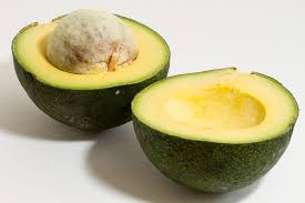 Avocado Reed grafted