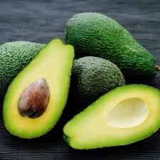 Avocado Sharwill Grafted