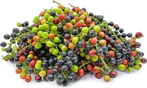 Bignay fruit  Layer plant