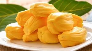 J33 Jack Fruit Grafted Plants