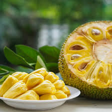 Vietnam Super Early Jack fruit Grafted Plant