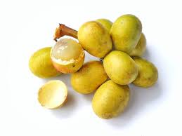 Yellow Matova Fruit Plant