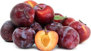 Santa Rosa Plum Grafted