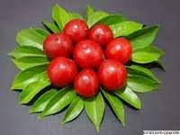Ubaia (Eugenia Pattrissi) fruit plants
