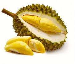 Durian Monthong Grafted Plants