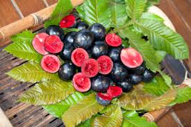 Rain forest plum
